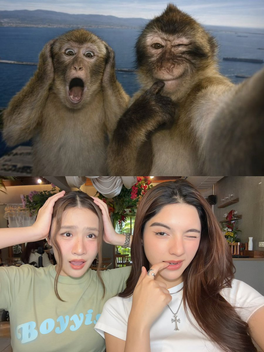 _pundao's tweet photo. เอาอะไรมาแลกก็ไม่ยอม 🙂‍↔️ 
#shellypundao https://t.co/RxKAqGmwwt