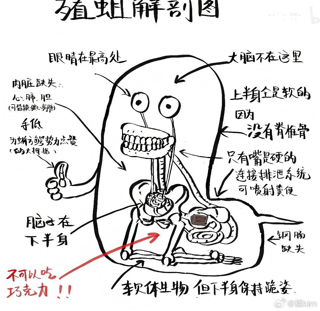 内塔尼亚胡 tweet media