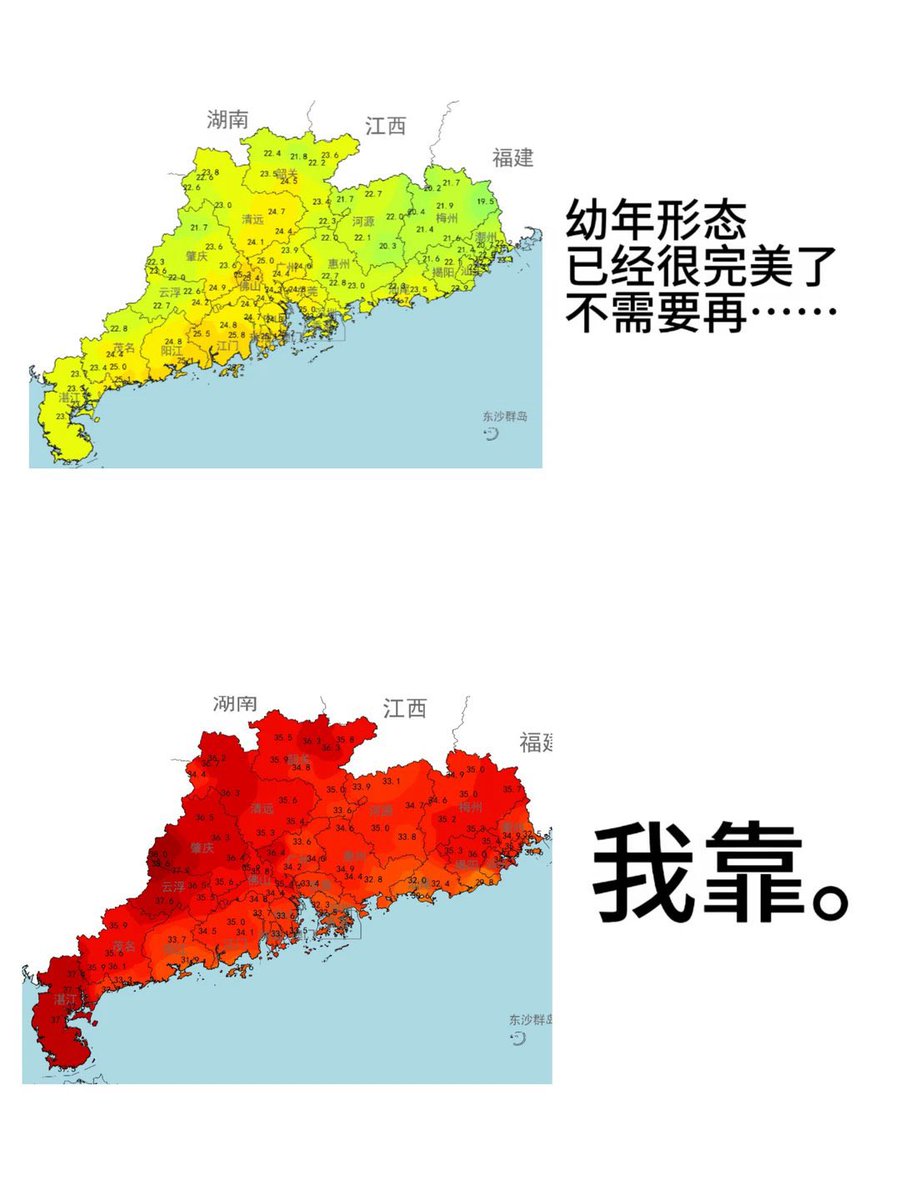 雲鳩 tweet media