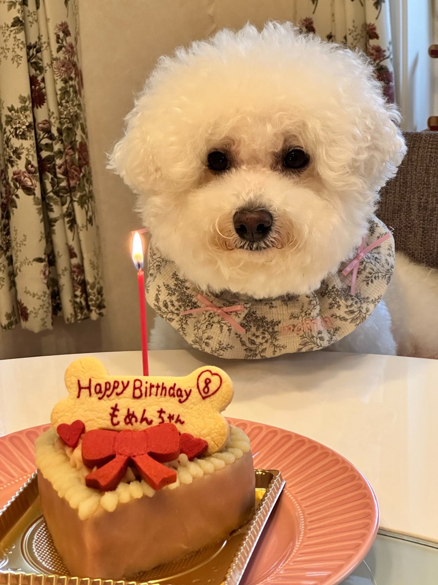 okubuuuu's tweet photo. 100歳まで生きろよな！！！ https://t.co/BKs1GeS4NX