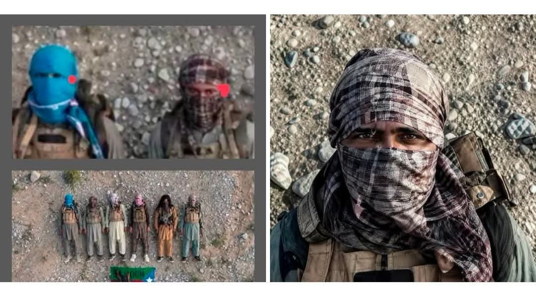 umerpashtoon's tweet photo. دہشت گرد اتنی جلدی میں جہنم واصل ہوئے کہ جلدی میں آنکھیں بند کرنا بھی بھول گئے اور انہیں ہلاک کرنے والوں نے بھی شائد انہیں بددعائیں دیکر ہلاک کیا ہے اسی لئے خون کا ایک قطرہ نہیں نکلا بلکہ سارے بواسیر کے اٹیک سے مر گئے ۔
یہ ڈرامہ اب لوگ سمجھ چوکھے ہیں 

سوال تو بنتا ہے 🤪🤪🤪🤪🤪🤪🤪
اور خون کا کوئ قطرہ نہیں ہے یہ ے ڈرامہ بازی ہے 🤣🤣🤣🤣🤣🤣🤣🤪🤪🤪🤪 اگلی بار کوئی لال رنگ ولی ڈبہ ساتھ لے کر آنا اور پھر لاشوں کے اوپر لگانا