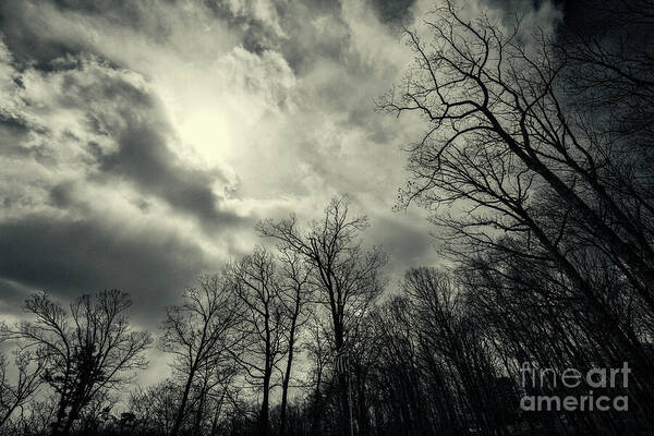 TLawren37609829's tweet photo. A sky for Finn - https://t.co/Z7ma5abUgi #inmemory #losingapet #loss #prayers #buyintoart https://t.co/Zd1SmWJyDT
