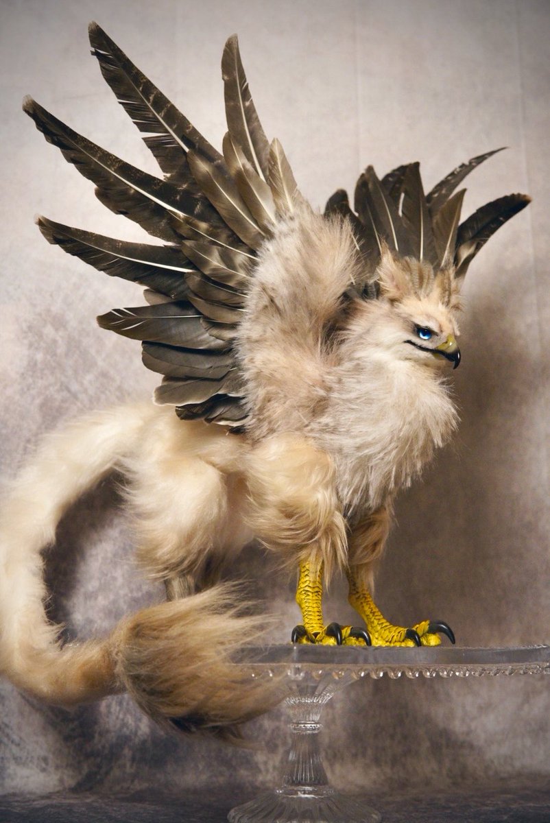 artdoll