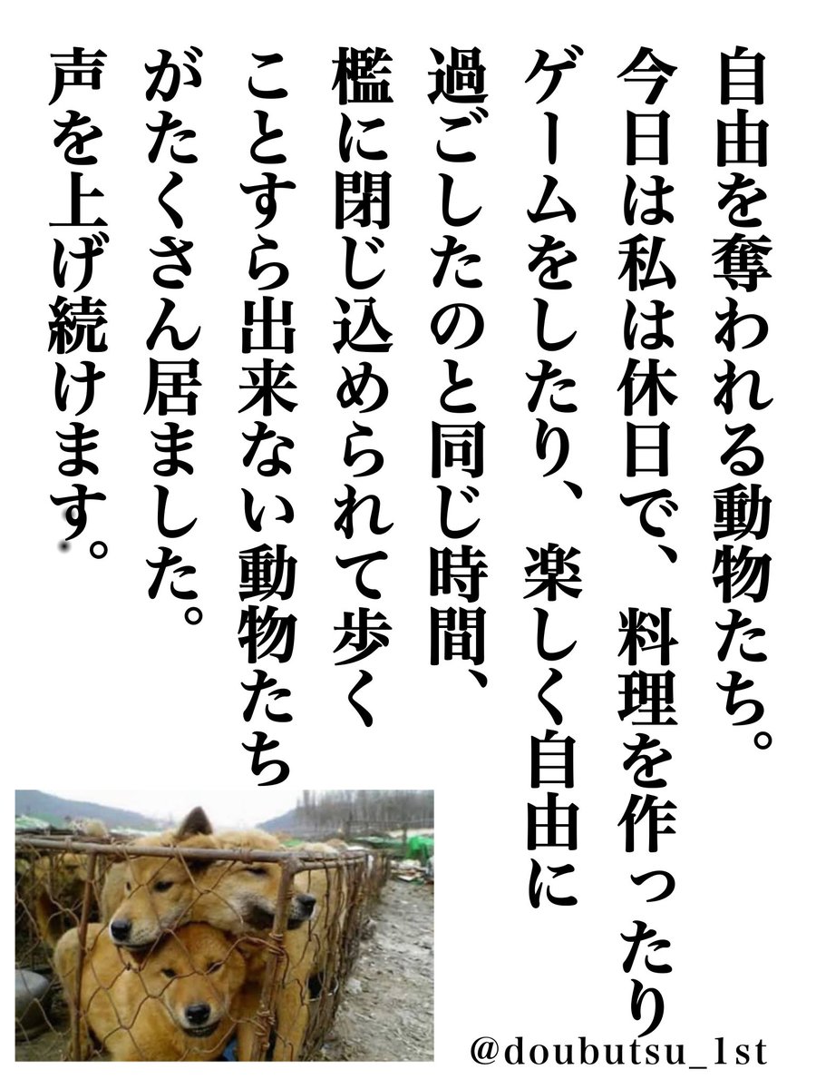 doubutsu_1st's tweet photo. 🐶🐷動物たちは、何も悪くないのに人間が一方的に彼らの大切な一生を奪っています。

もしこれが、あなたなら？

あなたが当たり前に、毎日ご飯を食べて、家族と過ごす時間を、一方的に奪われたら…？

#アニマルライツ
#アニマルウェルフェア https://t.co/lxKtRIirW7