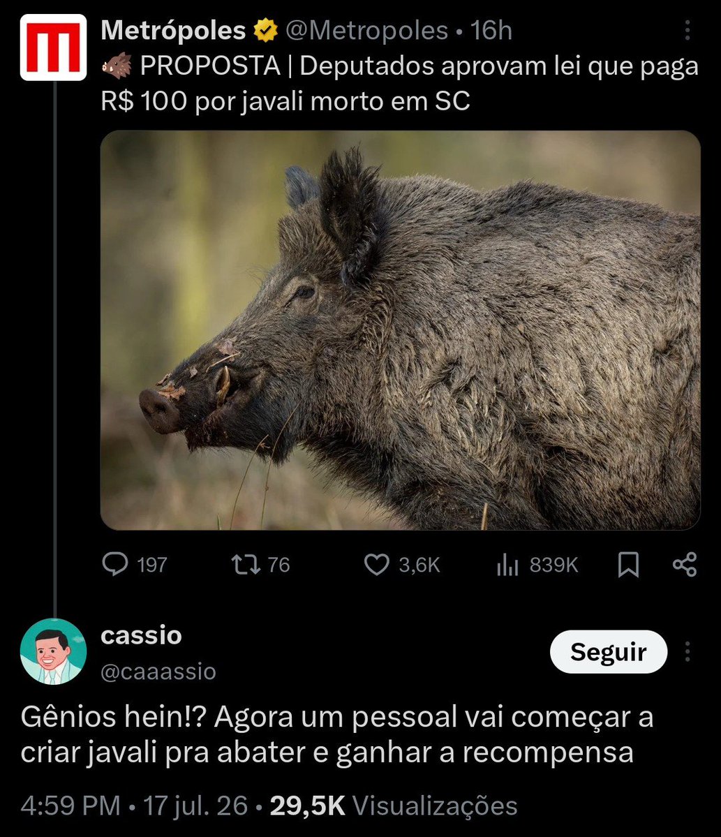 Não é o Léo Lins tweet media