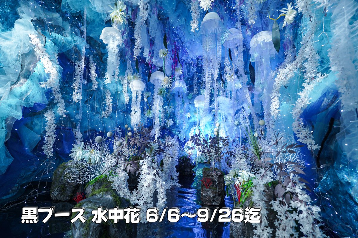 comuya_com's tweet photo. こんばんは、こむやです🐱🪷🪼
7月～9月の土日祝(8月のお盆期間含む)の空き状況です。タップ＆拡大してご覧下さい。
各ブースの開催テーマは添付の写真をご覧下さい☺️
ご予約は90日前から受け付けています。
皆様のご予約お待ちしております🙇‍♀️ https://t.co/nHcCDF3BMQ