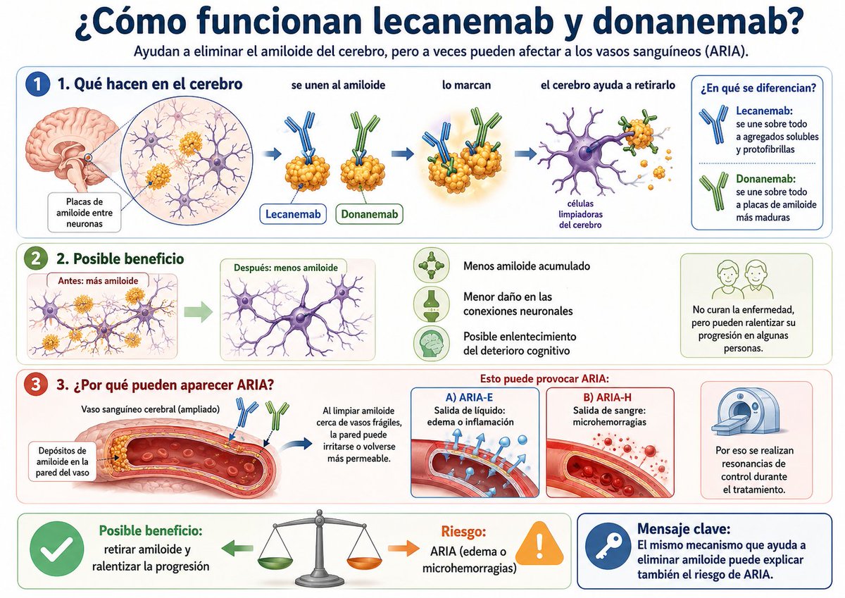 quequesierra's tweet photo. En dos imágenes, por qué tanto pacientes como neurólogos no deberían estar preocupados por la no financiación de lecanemab y donanemab. Necesitamos terapias eficaces y seguras. Estás no lo son. Ni lo primero ni lo segundo. https://t.co/cP180NwRPZ