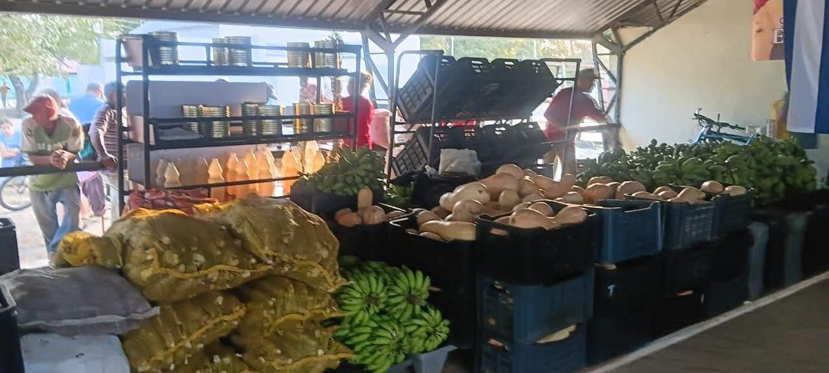 AlexanderO5939's tweet photo. Se realiza en el municipio cabecera la feria agro comercial. #PorLasTunasLaVictoria https://t.co/sL4AXczMxs
