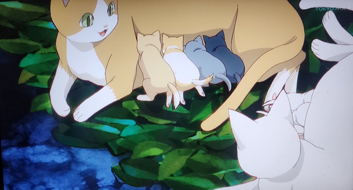 The Cat and the Dragon 第3話 ツイート画像 1