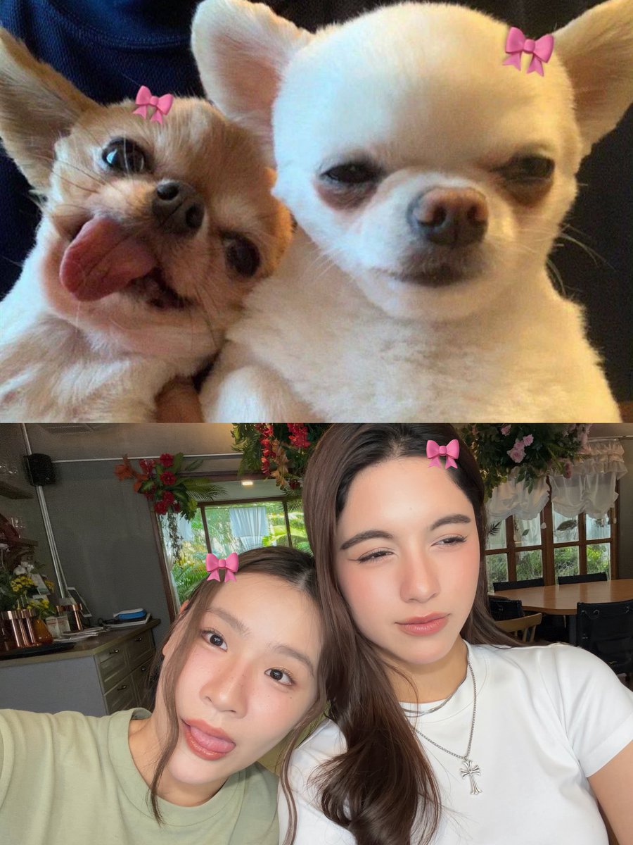 shellypundaobr's tweet photo. #Shellypundao #shellybenda #evershelly
#pundao #TwinkleOfPundao #พันดาว #teddies https://t.co/BKt5PuJCv0