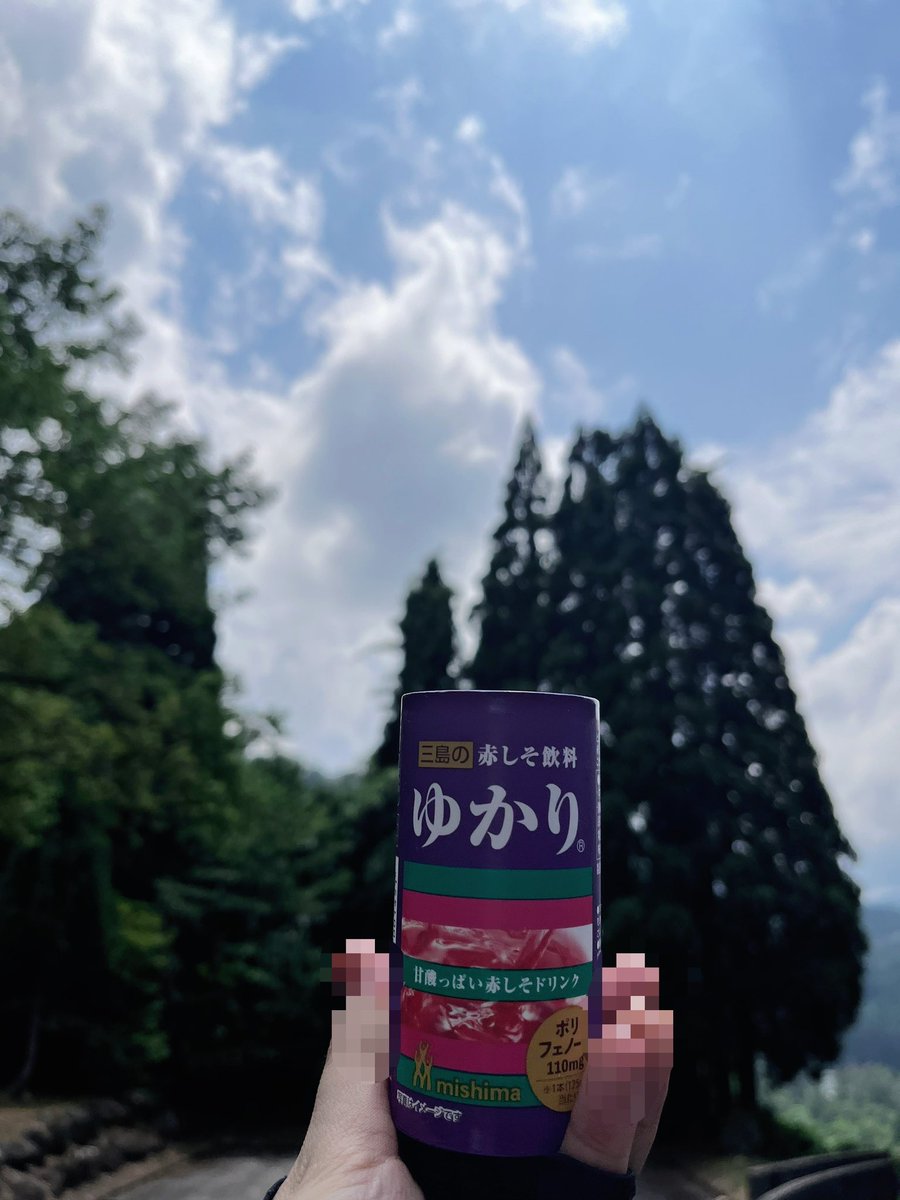 wacchoichoi's tweet photo. 富山を大満喫♪
まんだら遊苑、とんでもないところでした👀とっても見応えあった！ https://t.co/7PSHCLVZ1I