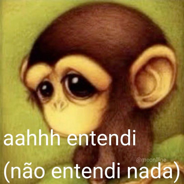 perfil dedicado a gatinhos e p3it0s tweet media