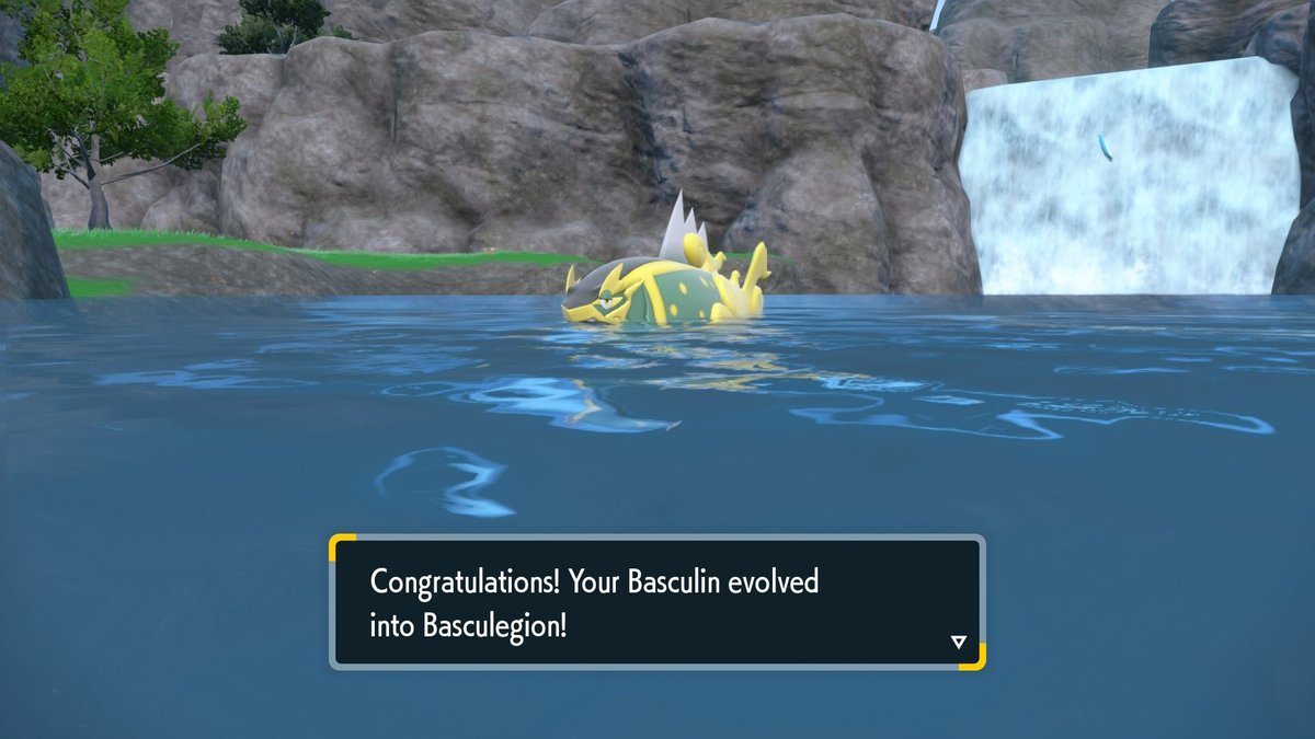 Jbencalada's tweet photo. Yesterday's shiny hunt triumphs were a white-striped Basculin that was difficult to see. Went for Lapras after since the shiny is easy to see. Then I managed to get 3 shiny Elekids, I deserve a medal for that hunt. https://t.co/41xkg88vuI