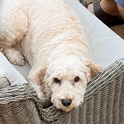 Emo_1878's tweet photo. #NewProfilePic https://t.co/sOODTOj2pU