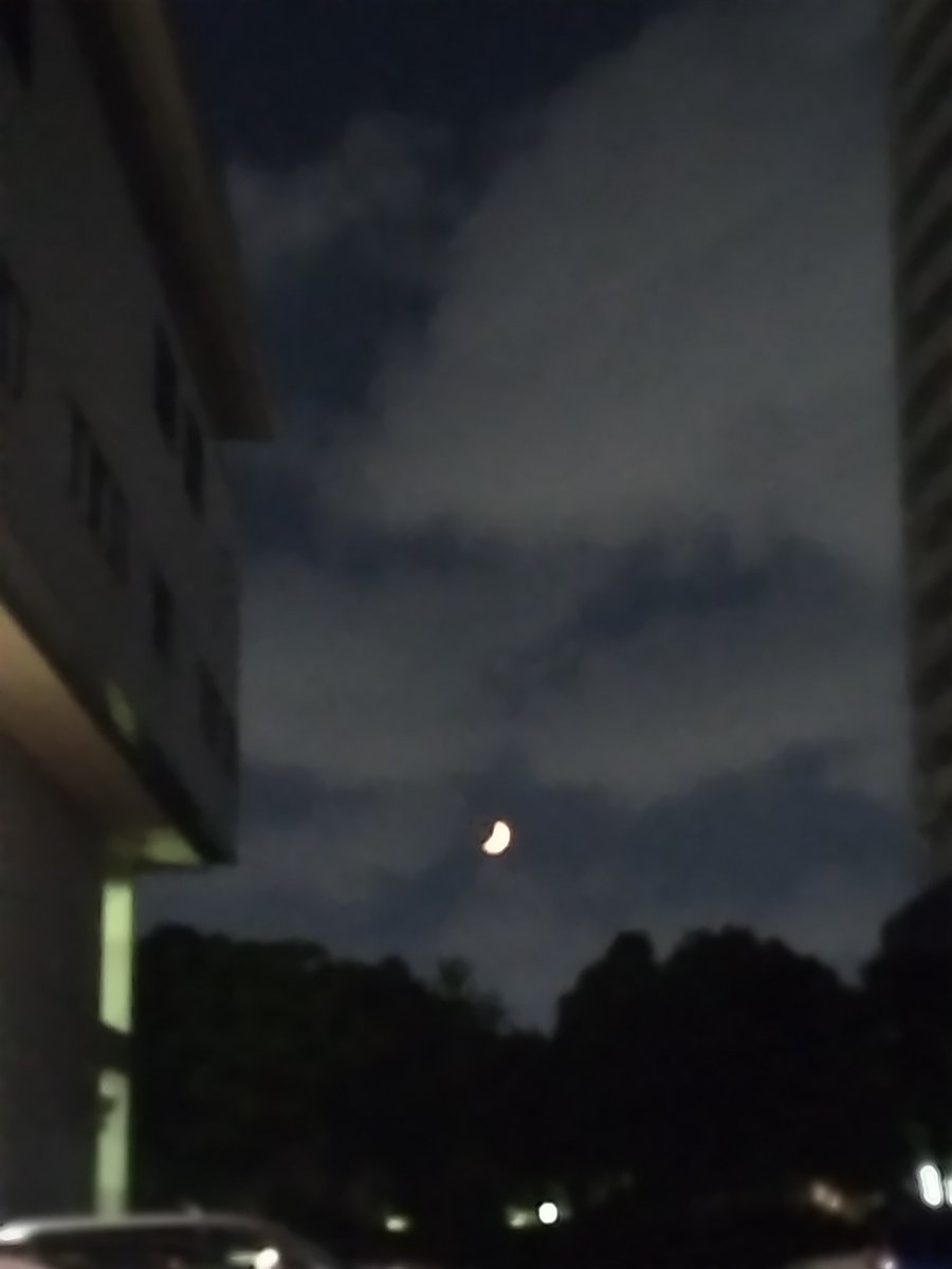 nari10000's tweet photo. 今夜は稽古。
#舞い舞いナゴヤ2026 
#ちくさ座

5月GWの公演後始まった稽古。F1レースで例えれば『周回遅れにはならないぞ』の思いでやって来ました。

来週本番。ラストスパート。少しでも距離縮められるように。 https://t.co/mqZD0ibLlb