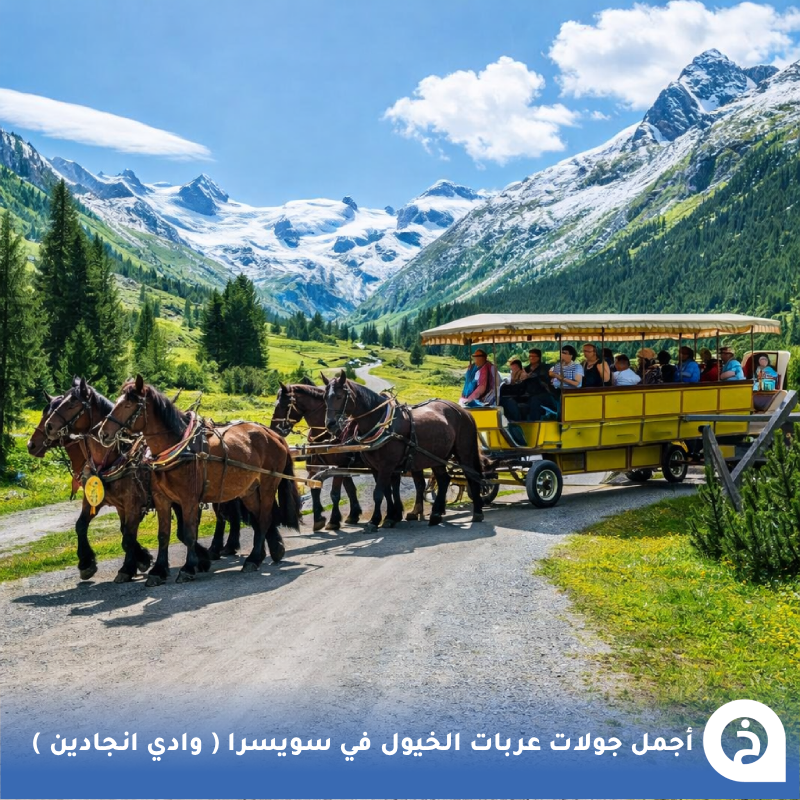 TouristMapsApp's tweet photo. أجمل جولات عربات الخيول #سويسرا🇨🇭 

إذا حاب تتجول وسط أجمل طبيعة في جبال الألب السويسرية روح لوادي #إنجادين Engadin Valley (جنوب شرق سويسرا)  تحديدًا الوادي المتفرع الساحر Val Roseg المجاورة لقرية بونترزينا Pontresina، والذي يُعد من أجمل الأماكن في سويسرا لجولات عربات الخيول، حيث تنطلق العربات في رحلة هادئة عبر مروج خضراء واسعة وغابات الصنوبر وعلى امتداد نهر جبلي مع إطلالات مباشرة على قمم جبال بيرنينا Bernina الجليدية، ويتميز الوادي بطبيعته البِكر وهدوئه وخلوه تقريبًا من السيارات مما يجعل تجربة التجول بعربات الخيول فيه من أجمل التجارب الريفية في الألب (مُرفق أشهر أماكن جولات عربات الخيول)🐎🌲🏔️🌊😍↓
Engadin River Ranch
📍https://t.co/5Fb19vxUbP
Wohlis Kutschbetrieb & Ginas Reitschule
📍https://t.co/cWxxeh0uNJ
Coretti Kutschenfahrten
📍https://t.co/l0mA0kdpLY
Clalüna-Sils Kutschenfahrten
📍https://t.co/keNWPiMcx5
Kutschenbetrieb Riedberger
📍https://t.co/4J9MliMxBm
VAL ROSEG Kutschen - Stalla Engiadina
📍https://t.co/RZCo2PZPex
Gina's Reitschule im Engadin
📍https://t.co/7tbidJyFsp

• مُضافه في خريطة سويسرا السياحية.