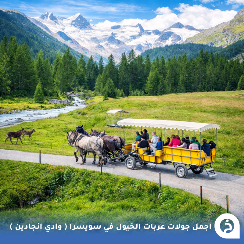 TouristMapsApp's tweet photo. أجمل جولات عربات الخيول #سويسرا🇨🇭 

إذا حاب تتجول وسط أجمل طبيعة في جبال الألب السويسرية روح لوادي #إنجادين Engadin Valley (جنوب شرق سويسرا)  تحديدًا الوادي المتفرع الساحر Val Roseg المجاورة لقرية بونترزينا Pontresina، والذي يُعد من أجمل الأماكن في سويسرا لجولات عربات الخيول، حيث تنطلق العربات في رحلة هادئة عبر مروج خضراء واسعة وغابات الصنوبر وعلى امتداد نهر جبلي مع إطلالات مباشرة على قمم جبال بيرنينا Bernina الجليدية، ويتميز الوادي بطبيعته البِكر وهدوئه وخلوه تقريبًا من السيارات مما يجعل تجربة التجول بعربات الخيول فيه من أجمل التجارب الريفية في الألب (مُرفق أشهر أماكن جولات عربات الخيول)🐎🌲🏔️🌊😍↓
Engadin River Ranch
📍https://t.co/5Fb19vxUbP
Wohlis Kutschbetrieb & Ginas Reitschule
📍https://t.co/cWxxeh0uNJ
Coretti Kutschenfahrten
📍https://t.co/l0mA0kdpLY
Clalüna-Sils Kutschenfahrten
📍https://t.co/keNWPiMcx5
Kutschenbetrieb Riedberger
📍https://t.co/4J9MliMxBm
VAL ROSEG Kutschen - Stalla Engiadina
📍https://t.co/RZCo2PZPex
Gina's Reitschule im Engadin
📍https://t.co/7tbidJyFsp

• مُضافه في خريطة سويسرا السياحية.