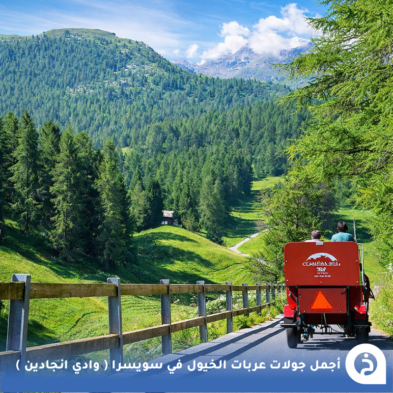 TouristMapsApp's tweet photo. أجمل جولات عربات الخيول #سويسرا🇨🇭 

إذا حاب تتجول وسط أجمل طبيعة في جبال الألب السويسرية روح لوادي #إنجادين Engadin Valley (جنوب شرق سويسرا)  تحديدًا الوادي المتفرع الساحر Val Roseg المجاورة لقرية بونترزينا Pontresina، والذي يُعد من أجمل الأماكن في سويسرا لجولات عربات الخيول، حيث تنطلق العربات في رحلة هادئة عبر مروج خضراء واسعة وغابات الصنوبر وعلى امتداد نهر جبلي مع إطلالات مباشرة على قمم جبال بيرنينا Bernina الجليدية، ويتميز الوادي بطبيعته البِكر وهدوئه وخلوه تقريبًا من السيارات مما يجعل تجربة التجول بعربات الخيول فيه من أجمل التجارب الريفية في الألب (مُرفق أشهر أماكن جولات عربات الخيول)🐎🌲🏔️🌊😍↓
Engadin River Ranch
📍https://t.co/5Fb19vxUbP
Wohlis Kutschbetrieb & Ginas Reitschule
📍https://t.co/cWxxeh0uNJ
Coretti Kutschenfahrten
📍https://t.co/l0mA0kdpLY
Clalüna-Sils Kutschenfahrten
📍https://t.co/keNWPiMcx5
Kutschenbetrieb Riedberger
📍https://t.co/4J9MliMxBm
VAL ROSEG Kutschen - Stalla Engiadina
📍https://t.co/RZCo2PZPex
Gina's Reitschule im Engadin
📍https://t.co/7tbidJyFsp

• مُضافه في خريطة سويسرا السياحية.
