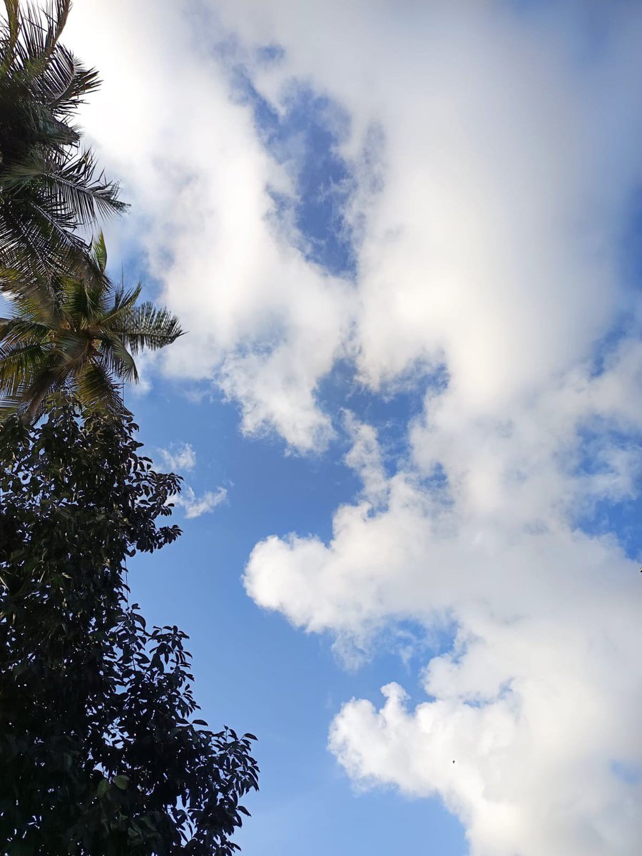 inthe_present's tweet photo. Good Saturday Morning everyone ☕ 
It’s “Simple Saturday”!
QP or Share a photo that simply brings you joy! No theme
📸🩵☁️🤍🫶☀️ https://t.co/HwPphdBmAC