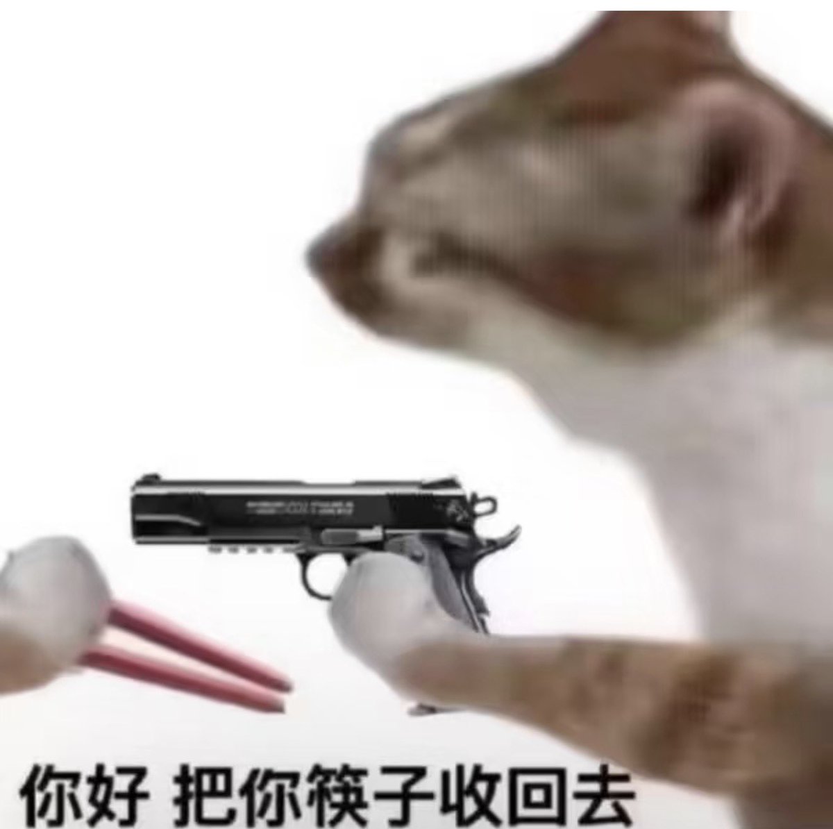 曾颖 tweet media