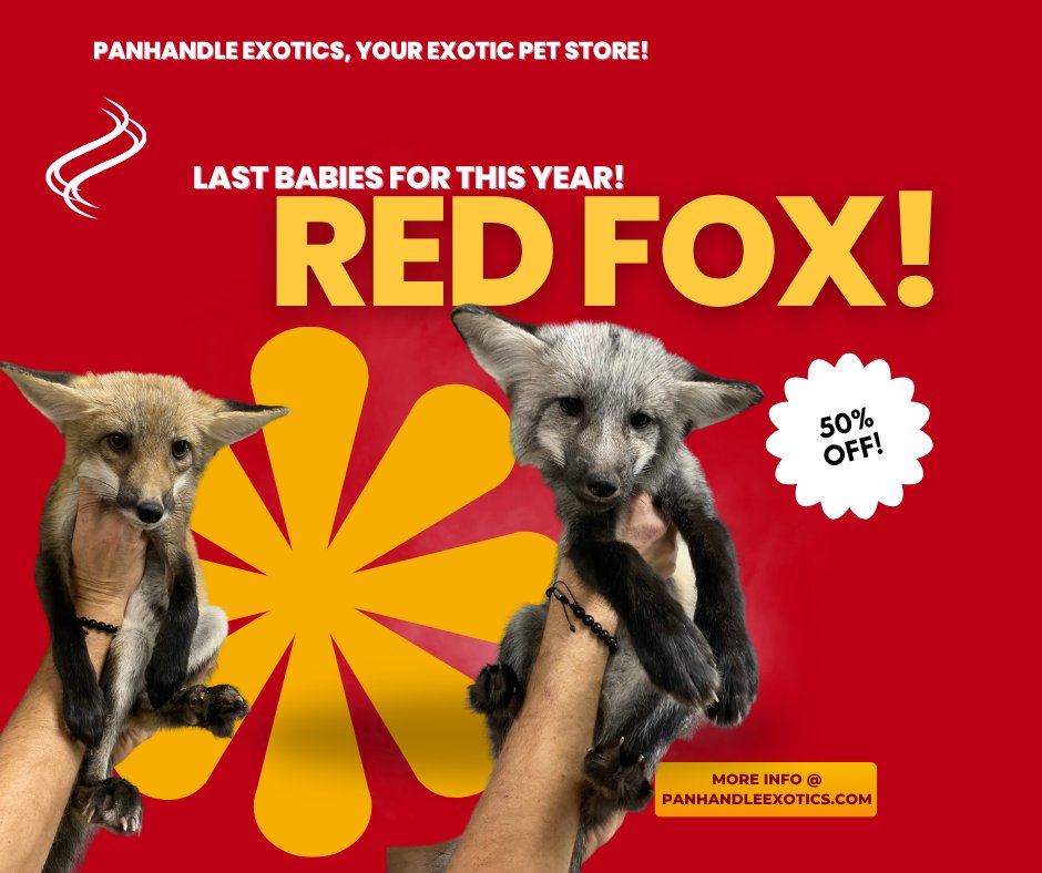 PanhandleExotic's tweet photo. https://t.co/G0CRUYFRfQ