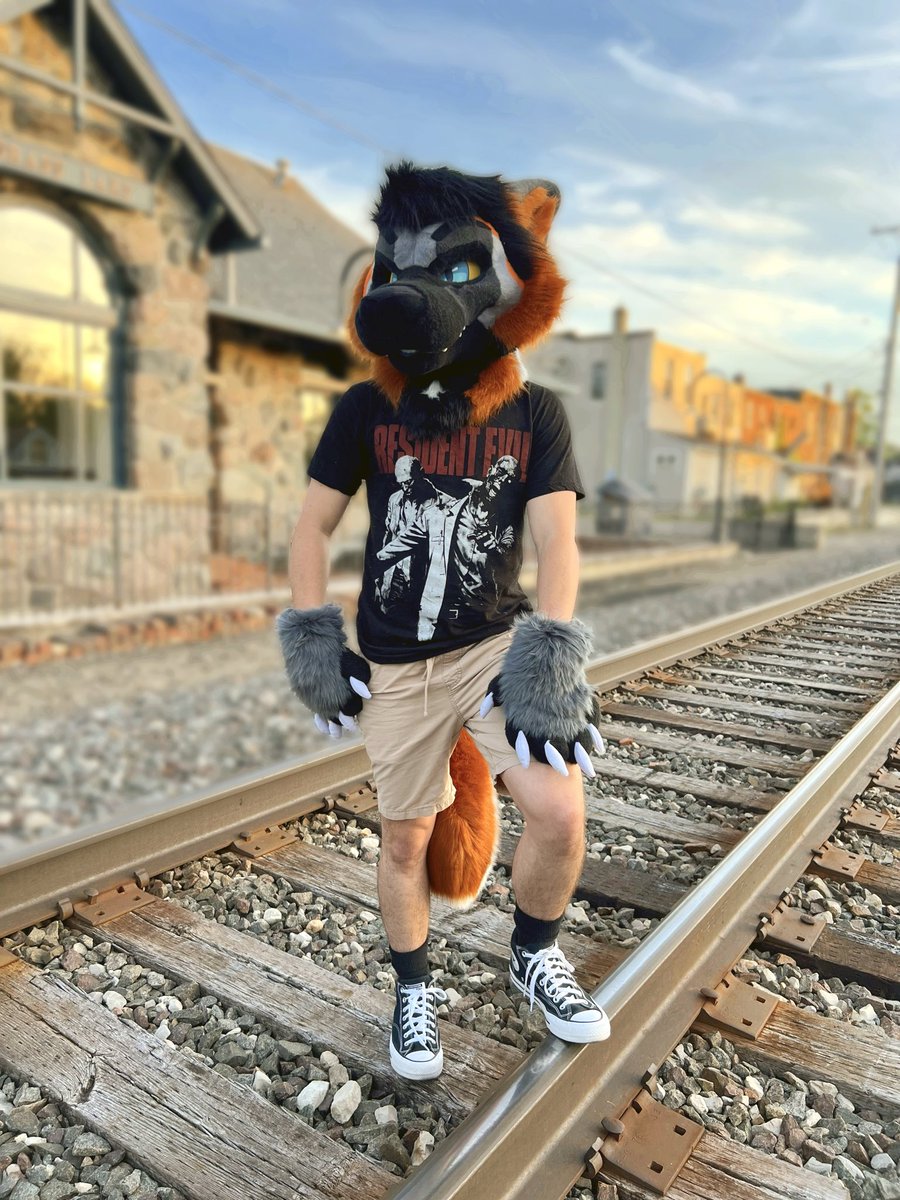 𝔇𝔢𝔭𝔞𝔠𝔥𝔢 🦊🐾 tweet media