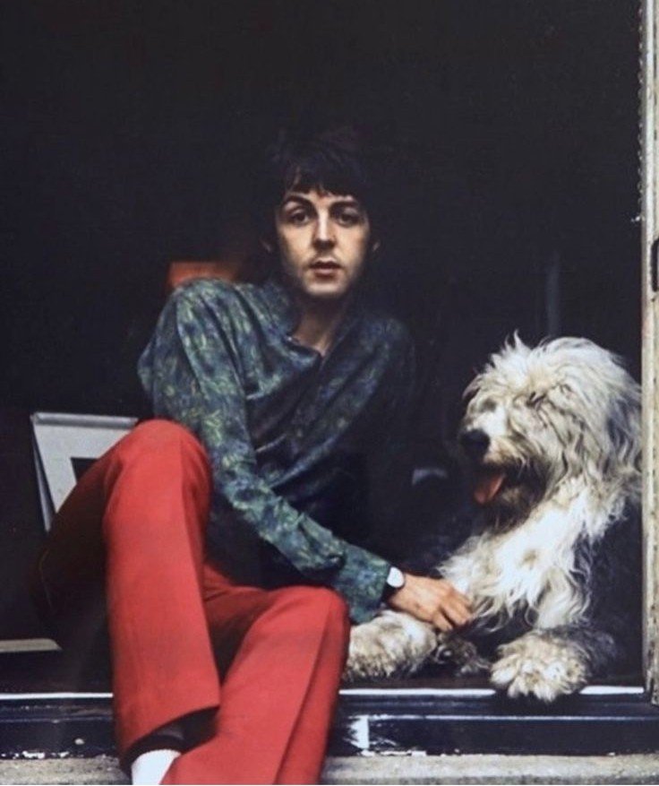 paulmcfreaky's tweet photo. did he lose all his regular coloured pants in 1967 https://t.co/wWFxP2KHoV