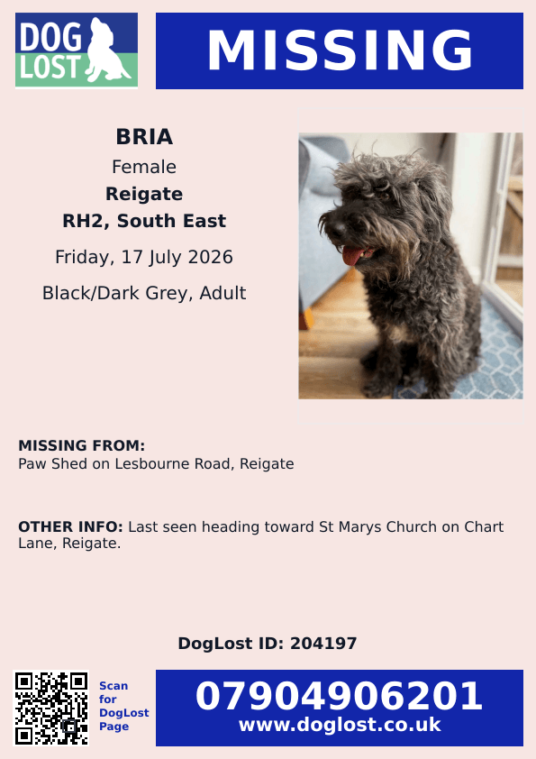 millypod1's tweet photo. 🆘17 JULY 2026 #Lost Bria #ScanMe
Cross Breed Female
Paw Shed on Lesbourne Road #Reigate #Surrey #RH2 Last seen heading toward St Marys Church on Chart Lane, Reigate.
https://t.co/FGruHUFaIW https://t.co/QJRkkirliJ