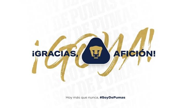 __rlsbstn's tweet photo. @PumasMX @BancaMifel https://t.co/U12gn1yxJi