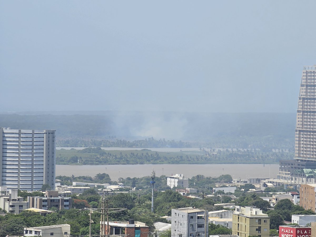ibrigard's tweet photo. Nuevamente, cerca al incendio anterior, el Parque Isla de Salamanca arde nuevamente.  Por favor ayuda URGENTE @GobMagdalena @AlejandroChar @BomberosBquilla @alcaldiabquilla @ParquesColombia https://t.co/D3YwiN5x1d