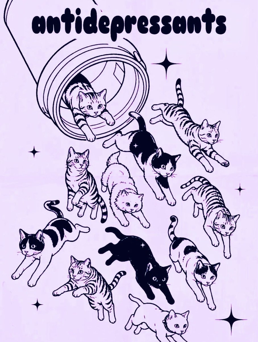 genXcdn1's tweet photo. Happy #Caturday. https://t.co/QGajd7zG4s