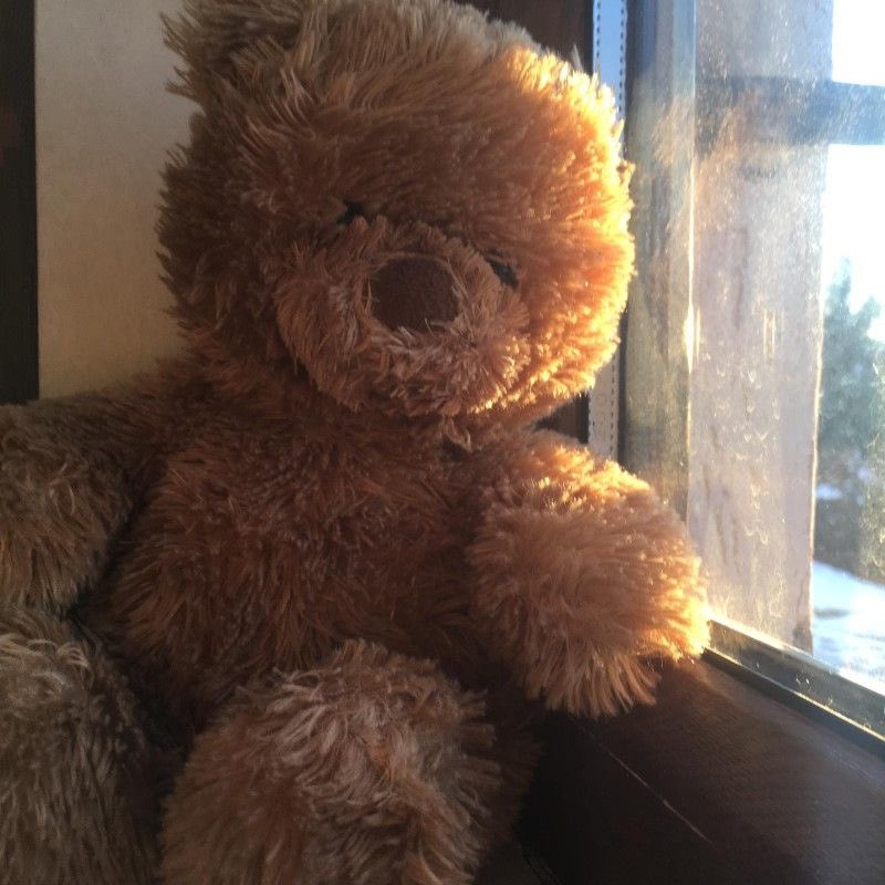 Lena 🐻 tweet media