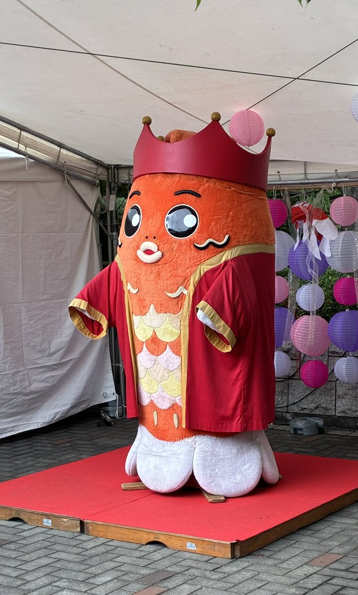 JK_berutuno's tweet photo. 江戸川区の行船公園で開催されている『金魚祭り』へ行って来たよ🐟

色んな種類の金魚がいるけどその中でも黒出目金が一番好き😆

皆さんはなんの金魚が好きかな❓ https://t.co/esLT1oA4Zw