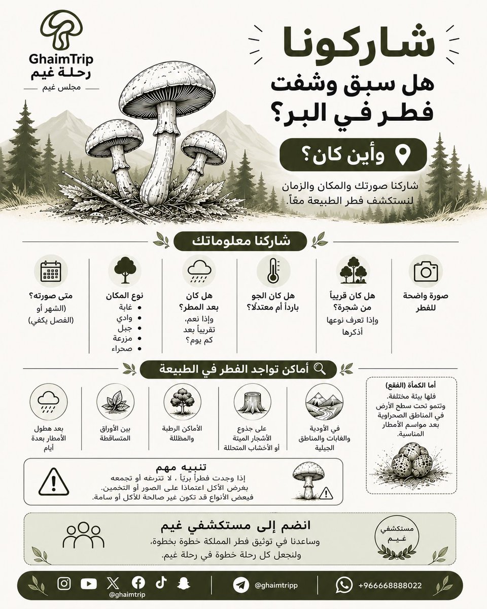 ghaimtripp's tweet photo. 📸 صوّر... 📍 وثّق... 🍄 شارك... فالمعرفة تبدأ من الطبيعة.

#السعودية #فطر #الطبيعة https://t.co/qpqUz8L3qM