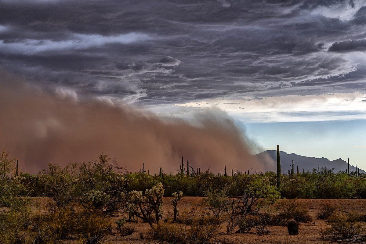 rehill57's tweet photo. Nothing like a raging haboob with 80mph winds. Near Sells, AZ 7/13/2026. #azwx https://t.co/ZhiXiyExnA