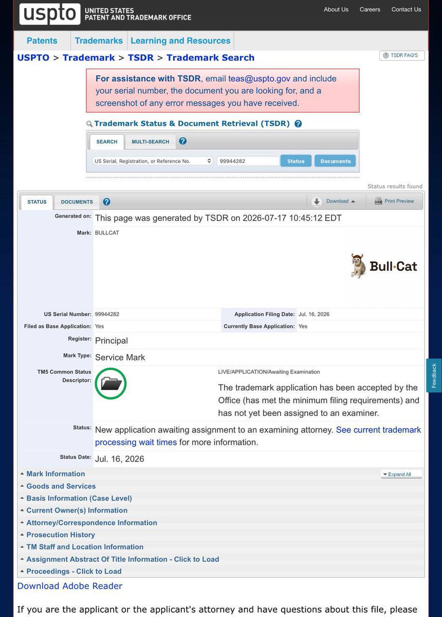0xMrPinky's tweet photo. The $BULLCAT acquired IP RIGHTS. https://t.co/46Y91VTQJd