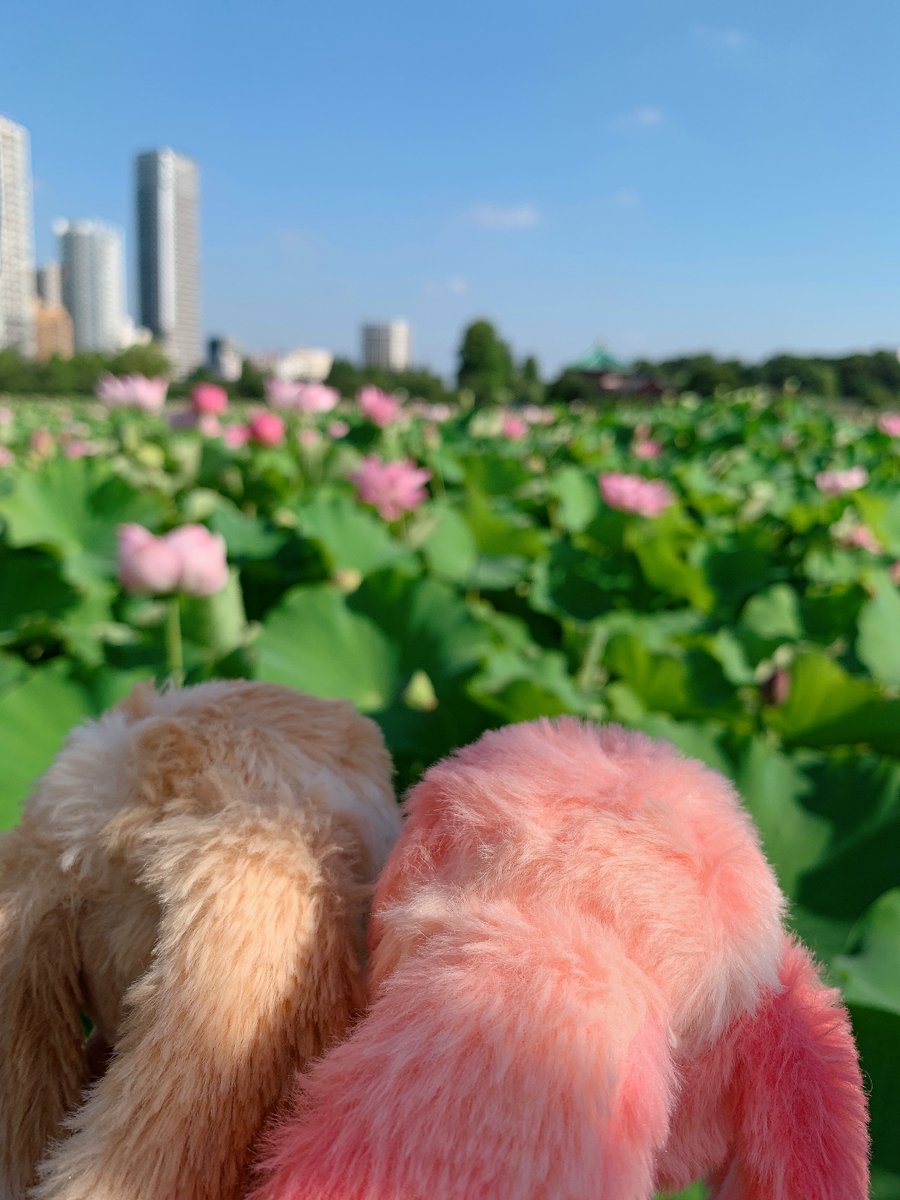 8x10_x's tweet photo. 去年 https://t.co/ZN786xODnp