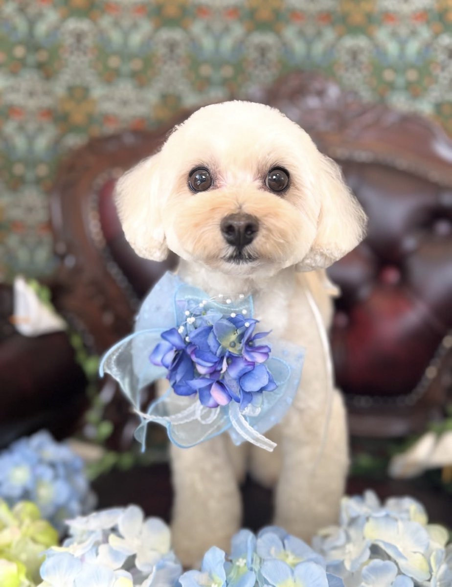 gr_0430's tweet photo. かわいい🥺🥺🥺 https://t.co/O6dQTkODqv