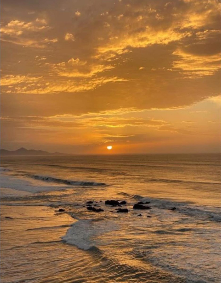 aestheticspost_'s tweet photo. Golden hour. https://t.co/KqgYR50nFu