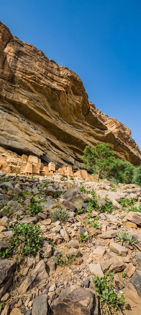 mia33821573's tweet photo. 🇲🇱 Le Pays Dogon, là où les falaises racontent des siècles d’histoire. ⛰️
Villages anciens, paysages grandioses et une culture unique.
#Dogon #Mali https://t.co/pP6hhtnJWW