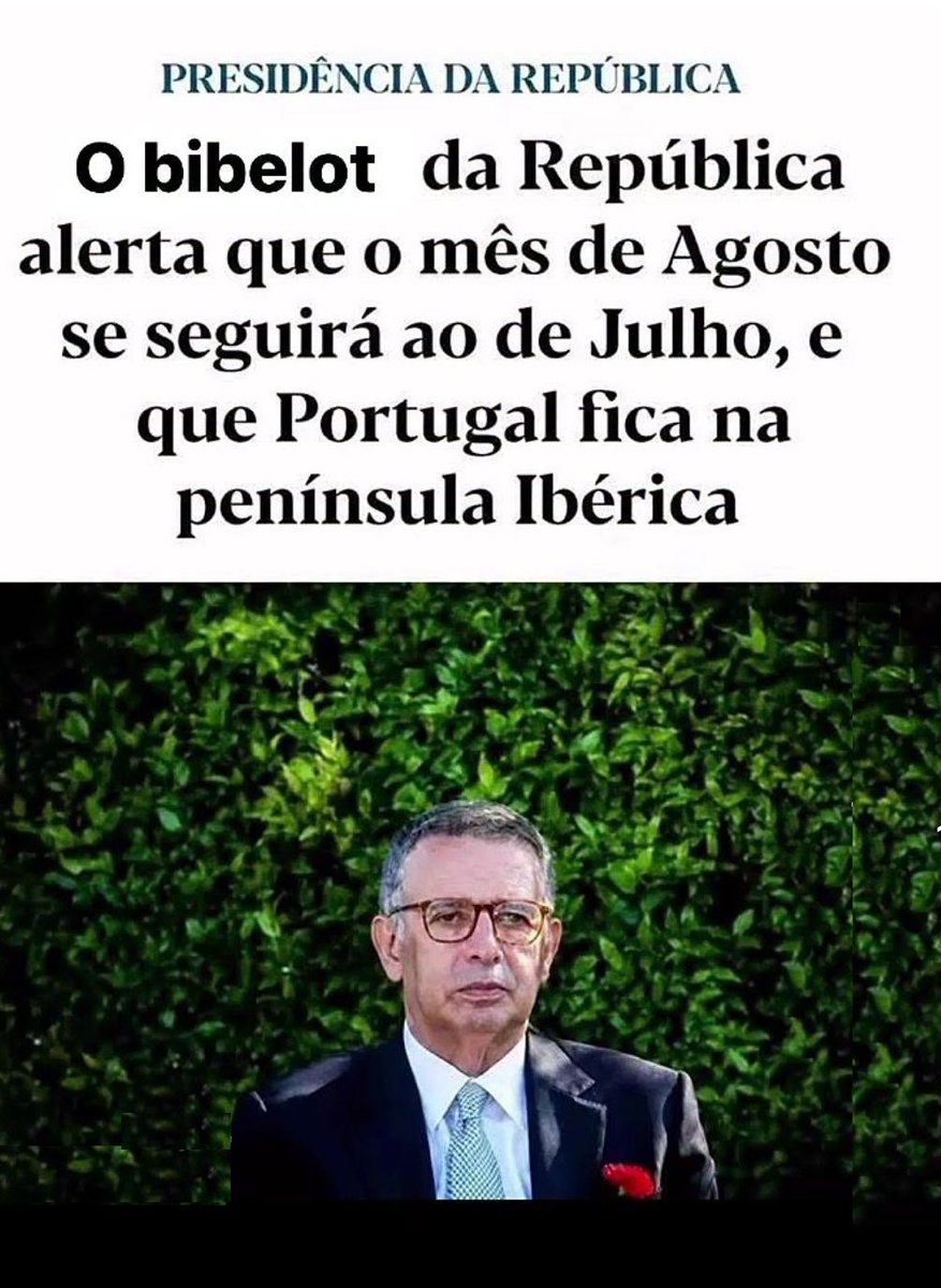 Vieira de Leiria. 🇵🇹 tweet media