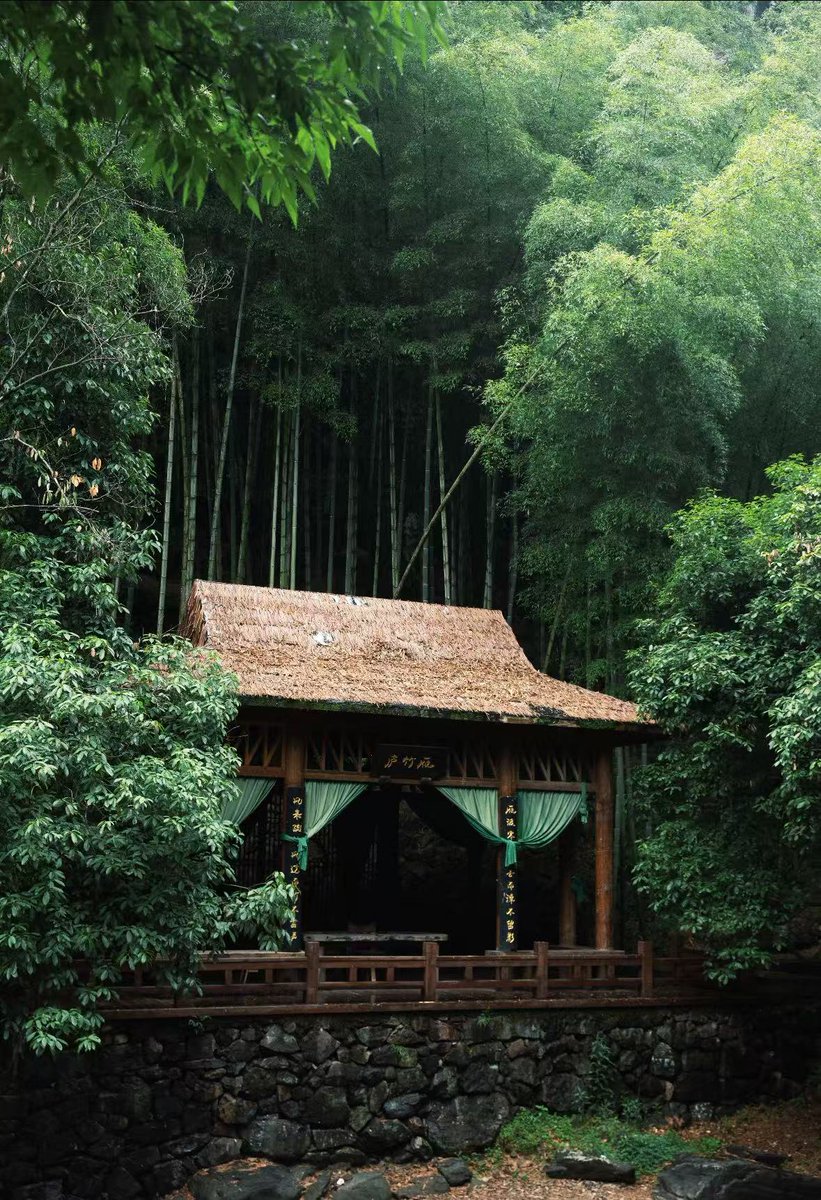 InsightNinghai's tweet photo. Hidden deep in Ninghai’s mountains lies a bamboo cottage; a pavilion greets you with refreshing breezes.
Surrounded by endless green bamboo, all worldly noise fades away, soothing your soul. https://t.co/rc6R7OVWNU