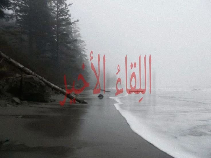 9hkrer's tweet photo. رح لاعاد تفتكرني ولا عادك عالبال
الغلطه اللي بفعل يمناك تحمل غلطها 

ولا عاد تشتاق لي ولا تسأل عن الحال 
فرصه سعيده وتذكر قسوتي انك سببها https://t.co/uT4O9TZRCb