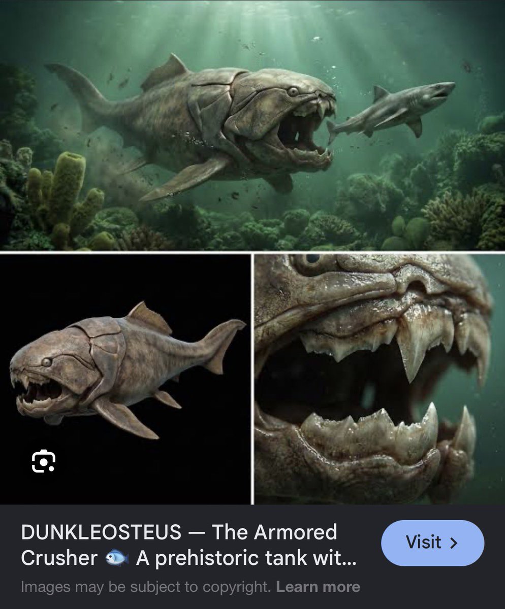 xychromosome_'s tweet photo. penyetan dunkleosteus https://t.co/ocMfWh3QQ2