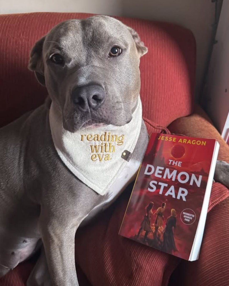 dawbooks's tweet photo. Say hello to Eva, Harley and Koda, major fans of DAW(g) books! 

If you want your dog featured on our socials and monthly newsletter, don't forget to submit your own photo of your dog with a DAW book via the link! We're excited to see your best friends!

https://t.co/Xlz4IIVjIn https://t.co/UlRB61Dgnw
