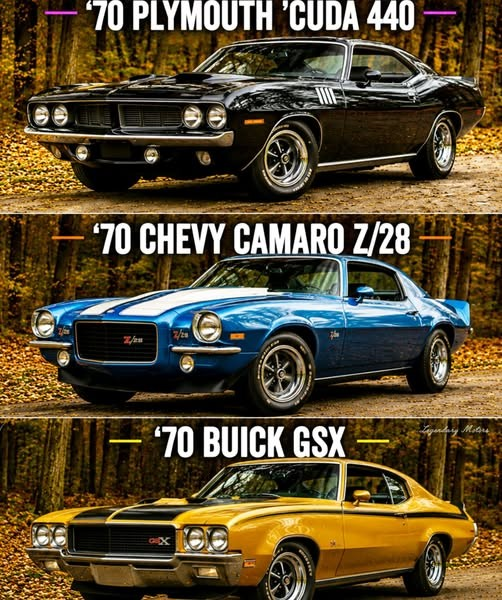Emily12205ff's tweet photo. Three legends. One choice. 📷📷
Which one are you taking home..? https://t.co/ZZ9uxNCemh