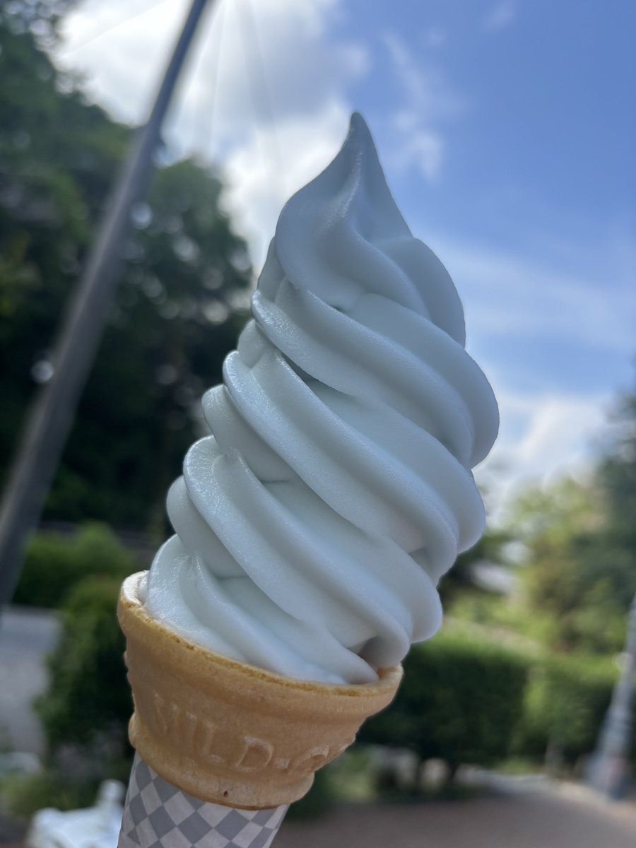 yossy_3_'s tweet photo. 謎解きの合間に食べたソフトクリーム。
ソーダ味に惹かれて、思わず購入。
うっすら青みがかっていて、美味しかったぁ(*˙˘˙*)♡ https://t.co/gZrw9ddk9f