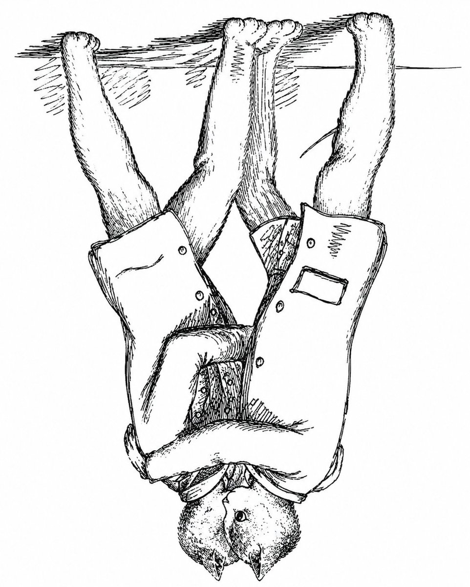 upsidedowncabal tweet picture