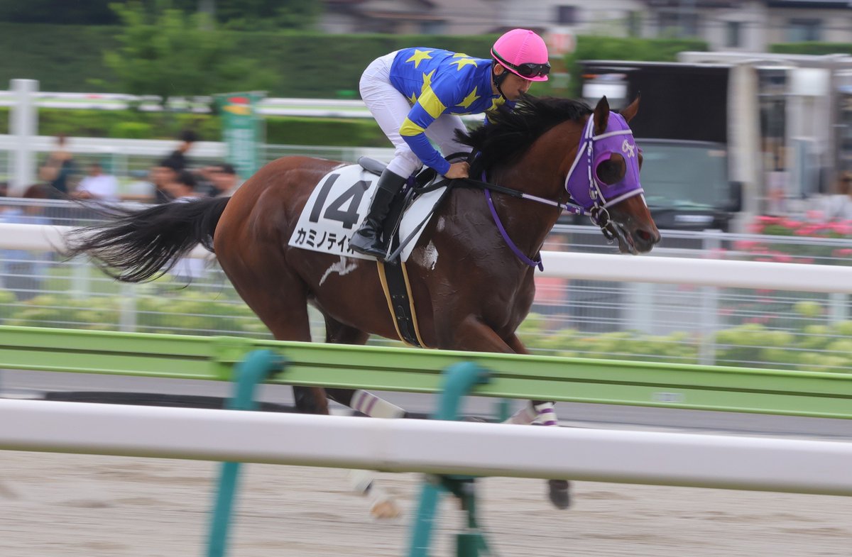 nop_rr29's tweet photo. 2026/07/18
福島 6R 3歳未勝利
☆カミノテイオー☆野中悠太郎騎手
 #カミノテイオー
 #野中悠太郎 騎手 https://t.co/psZHFFq1vi