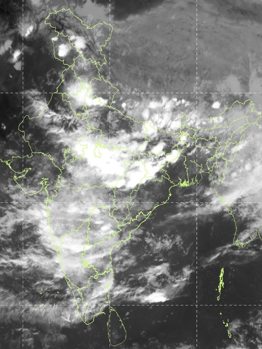 🔴All India Weather tweet media